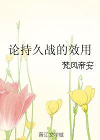 论持久战的效用