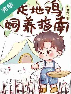 走地鸡饲养指南