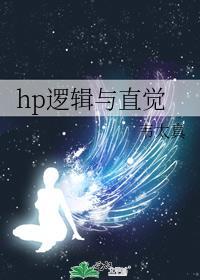 hp逻辑与直觉
