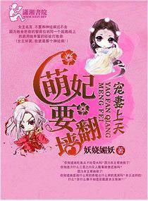 宠妻上天之萌妃要翻墻