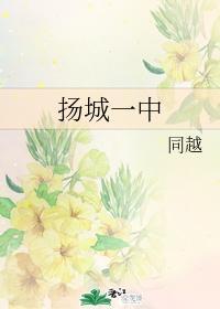 扬城一中
