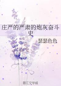 庄严的严肃的炮灰奋斗史