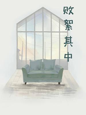 败絮其中