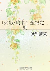 金银定则