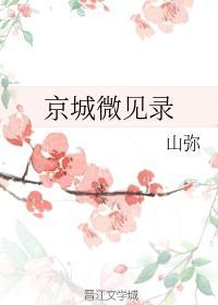 京城微见录
