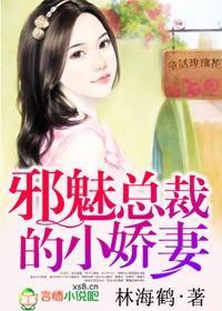 邪魅总裁的小娇妻