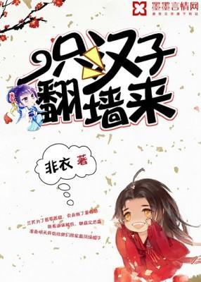 一只汉子翻墻来