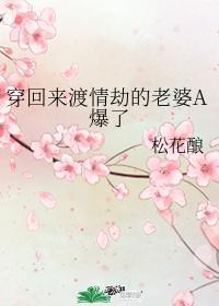 穿回来渡情劫的老婆A爆了