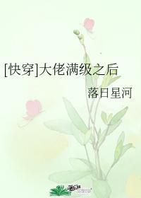 [快穿]大佬满级之后