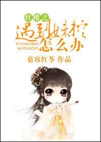 红楼之遇到妹控怎么办?