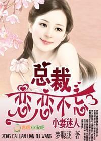 小妻迷人，总裁恋恋不忘