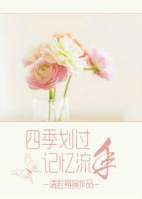 四季划过 记忆流年
