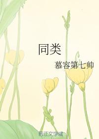 同类