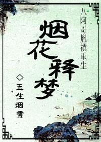 烟花释梦(八阿哥胤禩重生)