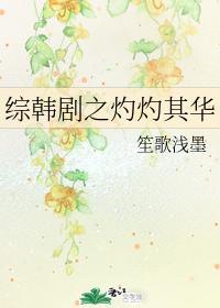 综韩剧之灼灼其华