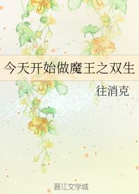 今天开始做魔王之双生