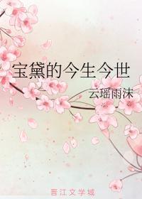 宝黛的今生今世