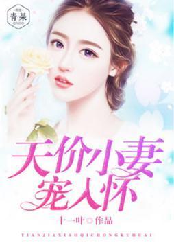 一吻贪欢:天价小妻宠入怀