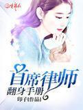 首席律师翻身手册