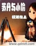 苏丹与小偷