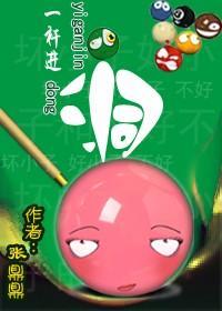 一桿进洞