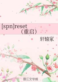 reset（重启）