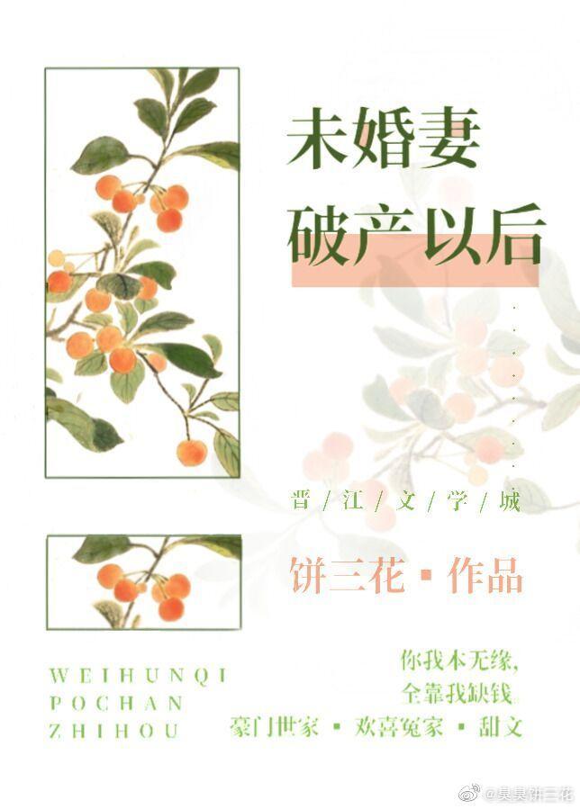 未婚妻破产以后