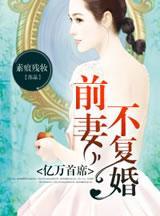 亿万首席，前妻不覆婚