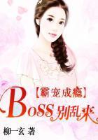 霸宠成瘾,Boss别乱来