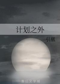 计划之外