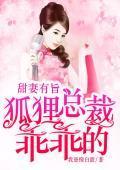 甜妻有旨:狐貍总裁乖乖的