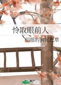 怜取眼前人