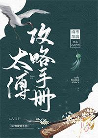 太傅攻略手册