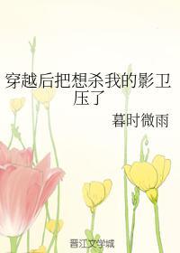 穿越后把想杀我的影卫压了