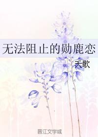 无法阻止的勋鹿恋