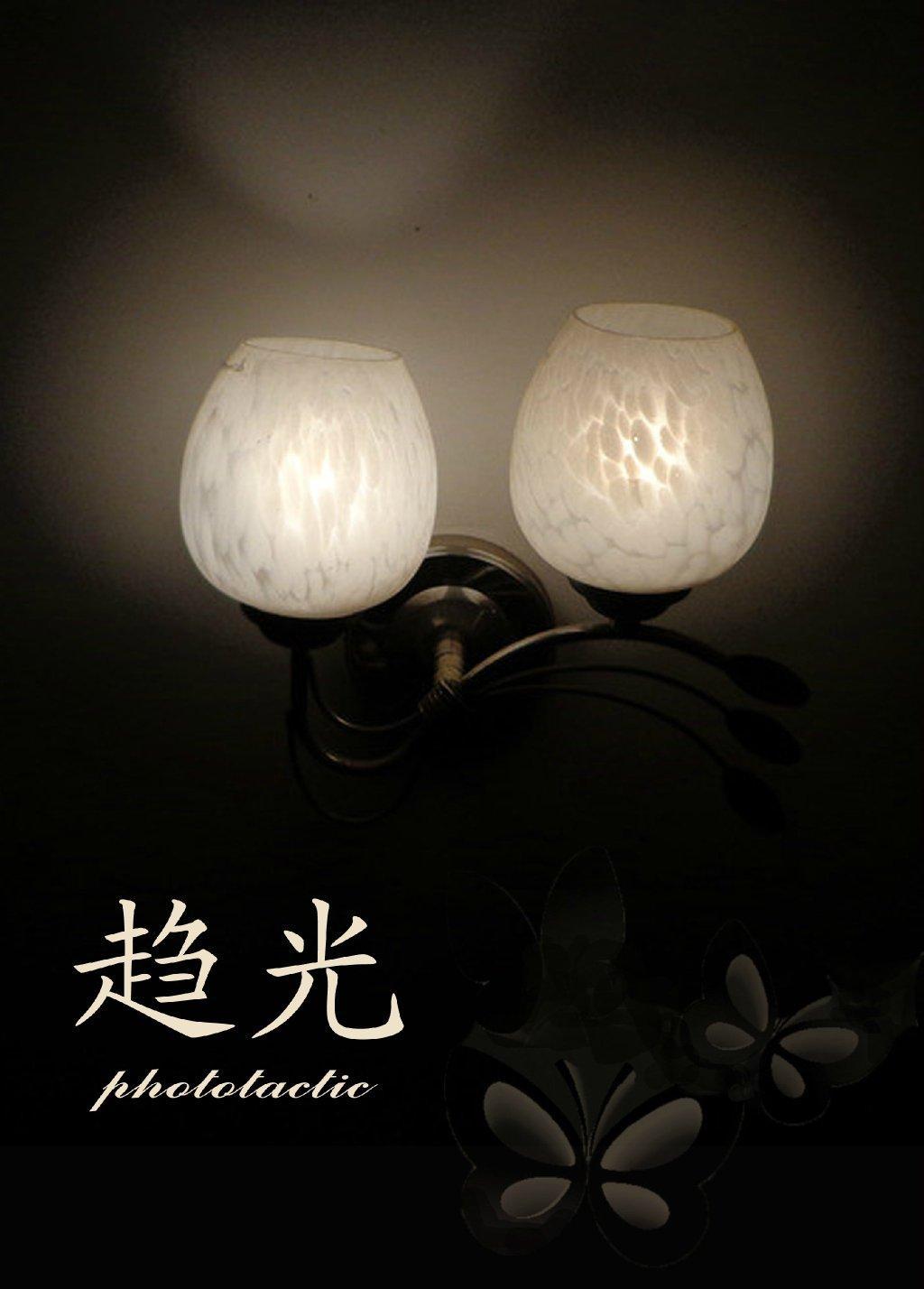 趋光