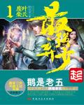 小说叶默宁轻雪
