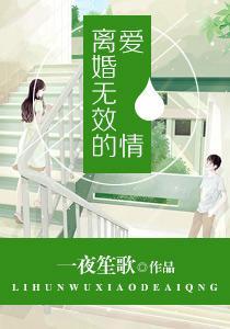 离婚无效的爱情