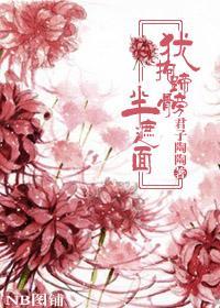 犹抱蹄髈半遮面
