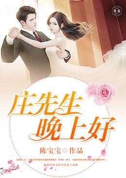 庄先生,晚上好