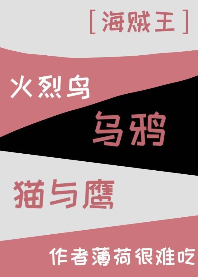 火烈鸟、乌鸦、猫与鹰