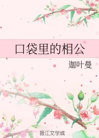 口袋里的相公