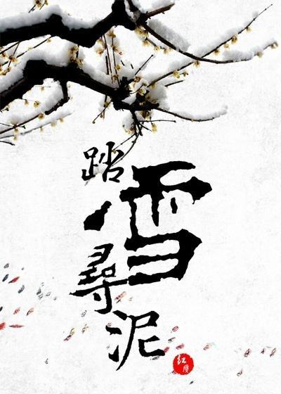 踏雪寻泥