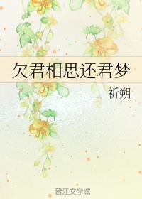 欠君相思还君梦