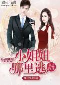 多面总裁:小姐姐哪里逃