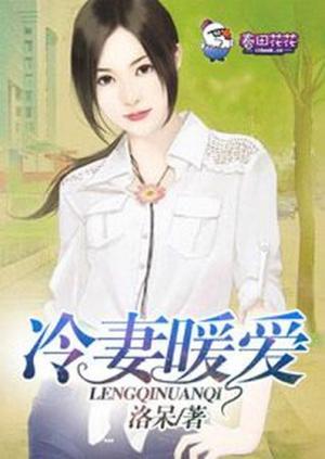 冷妻暖爱