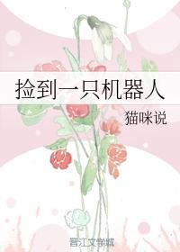 捡到一只机器人