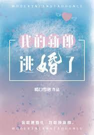 我的新郎逃婚了