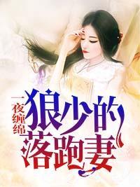 一夜缠绵:狼少的落跑妻