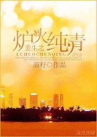 重生之炉火纯青[娱乐圈]